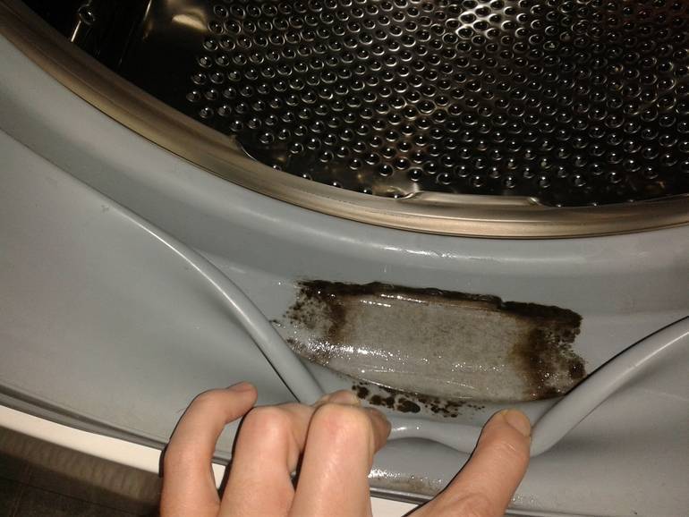 Как избавиться от плесени в стиральной машине: список средств