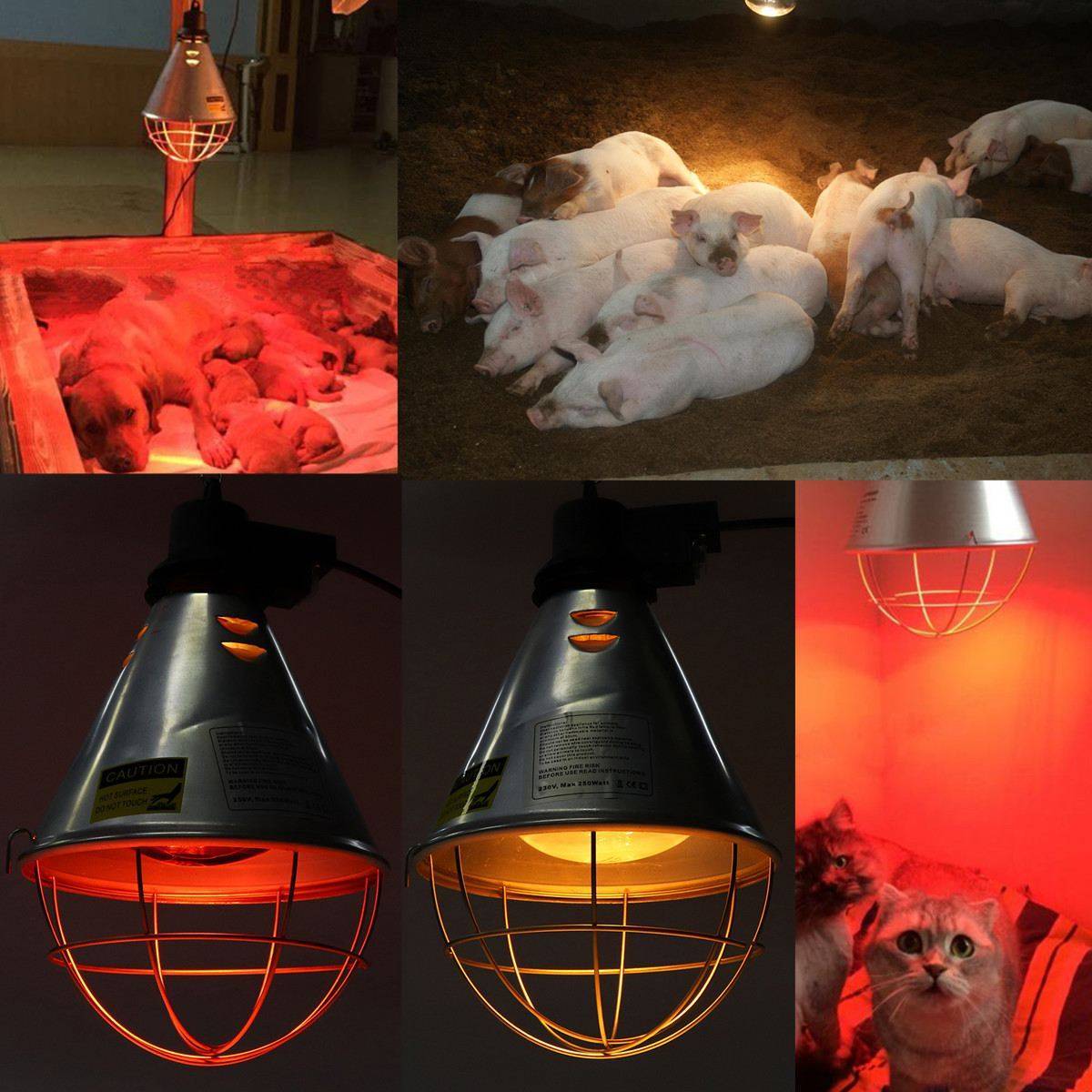 Инфракрасные лампы для освещения и обогрева курятника
