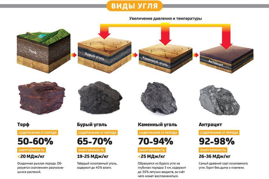 Как используют уголь? «нестандартные» отрасли применения
