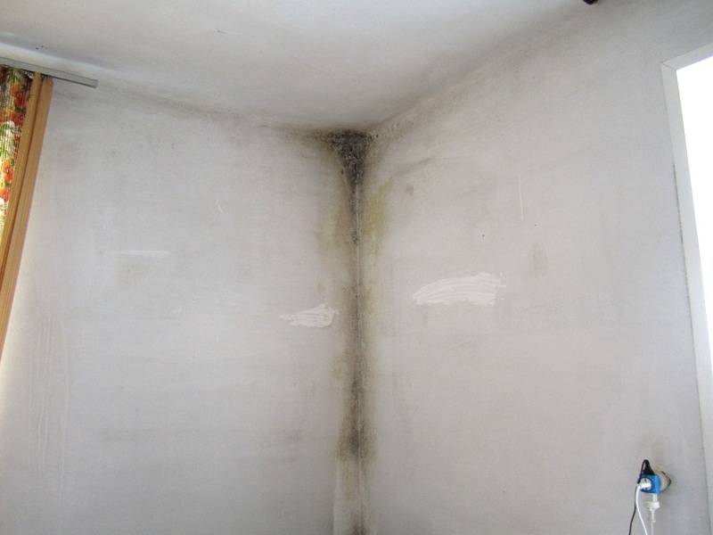 Как правильно утеплить стену в угловой квартире — рекомендации по выбору теплоизоляции и особенности монтажа