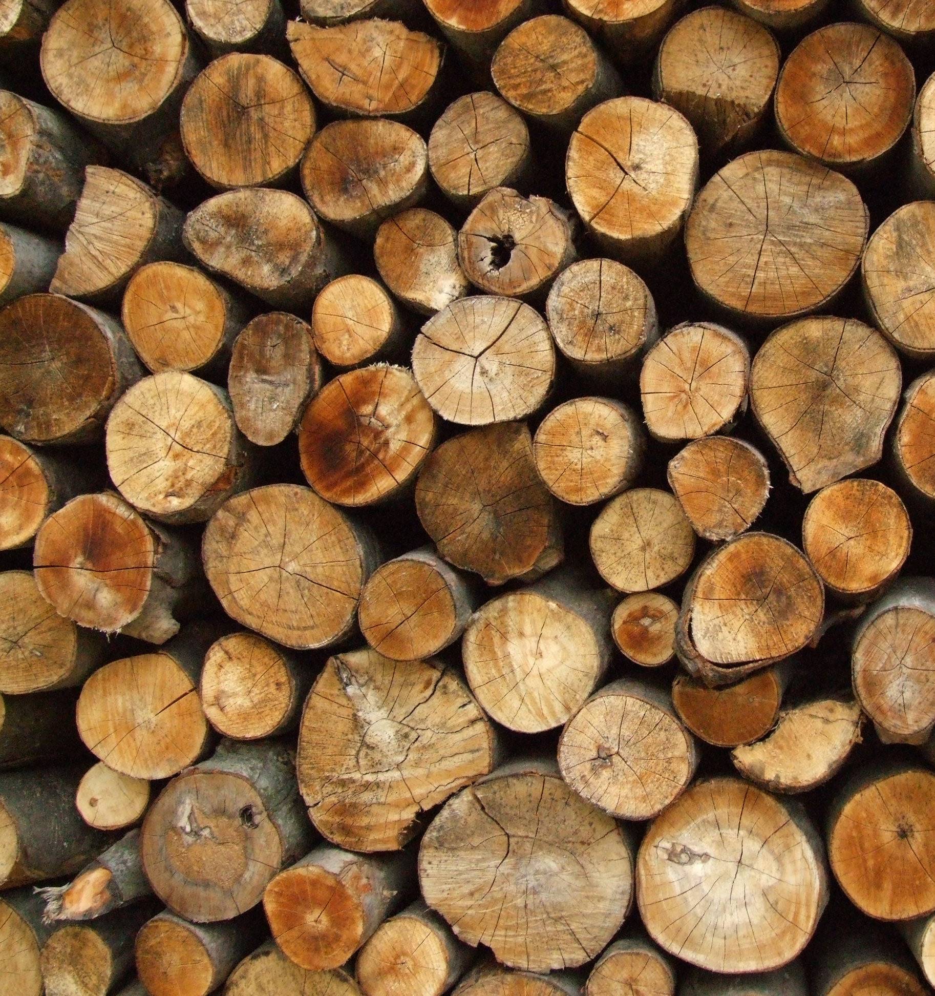 Какие дрова лучше для топки печи, советы по выбору породы дерева. какие дрова самые жаркие