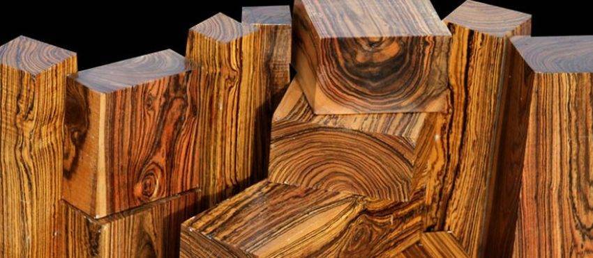 7 самых дорогих видов древесины в россии