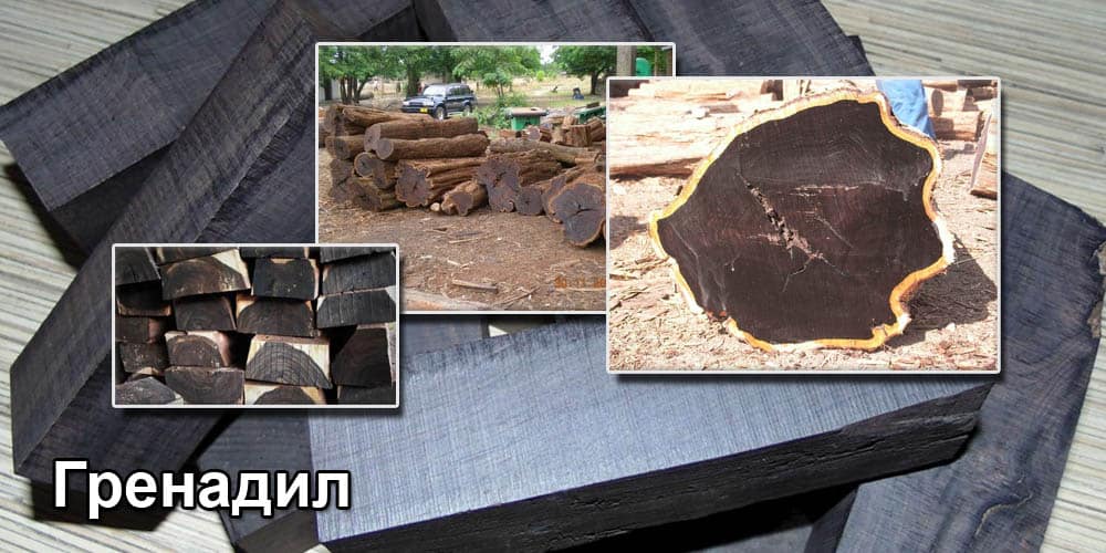 Самая дорогая древесина в мире — 33 тысячи долларов за куб