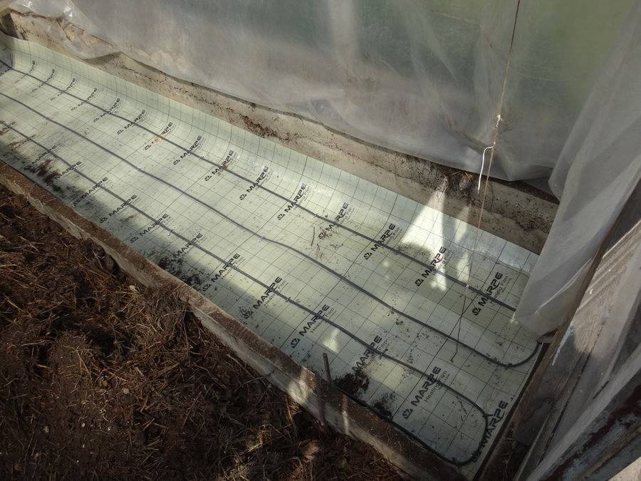 Ранние огурцы в теплице | как вырастить ранний урожай в неотапливаемой теплице [2 способа]