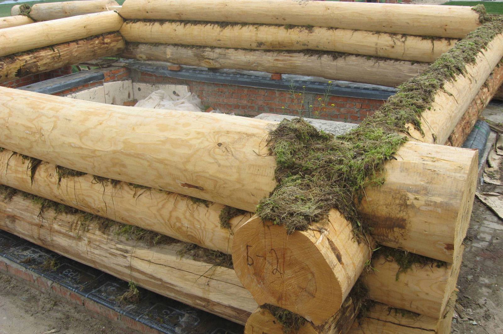 Какой джут межвенцовый выбрать для строительства деревянного дома?