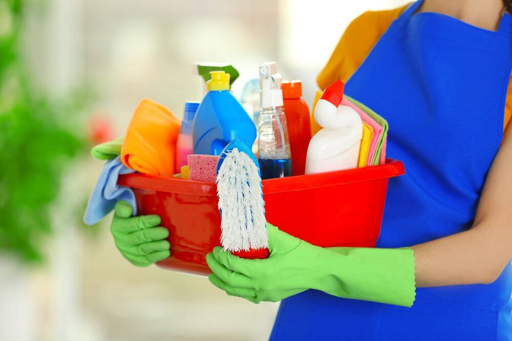 Какие чистящие средства должны быть в каждом доме и квартире, отзывы