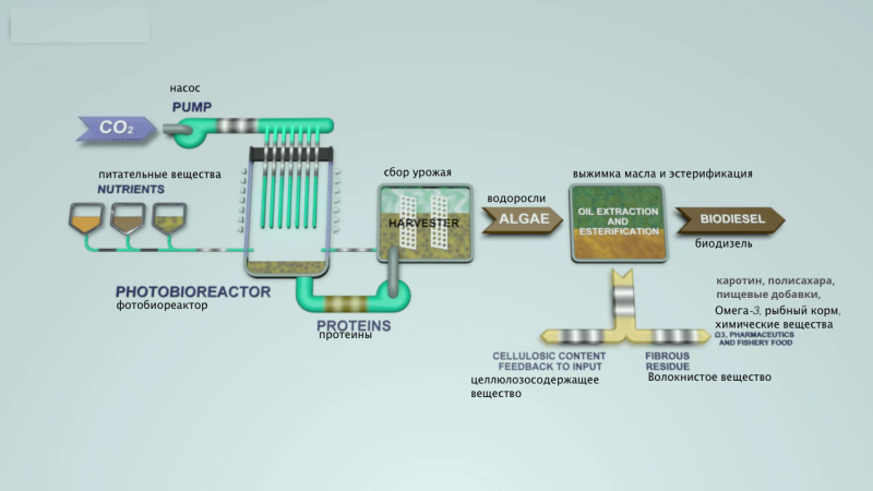 Открыть производство биодизеля: пример бизнес плана
