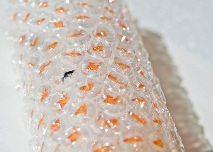Как можно использовать пузырчатую пленку в теплице и на даче. воздушно-пузырчатая пленка – секреты пузырьков, пузырчатая пленка материал с пупырышками